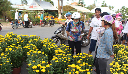 Chợ hoa TX. Gò Công rực rỡ với nhiều loại hoa.