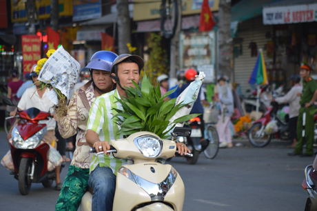 Hối hả với những cành hoa vê2 cho kịp chưng Tết.