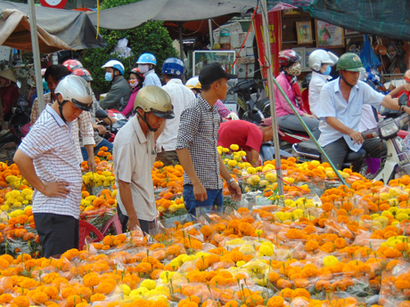 Hoa giá cao nhưng vẫn đông người mua.