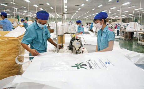 Dây chuyền sản xuất của Công ty TNHH Minh Hưng Tiền Giang.