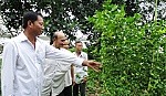 Đẩy mạnh học tập và làm theo tư tưởng, đạo đức, phong cách Bác Hồ