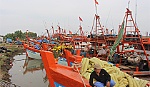Xuân an lành trên xứ biển Gò Công