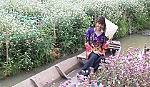 Vườn hoa Mãn Đình Hồng; nơi vui xuân mới của giới trẻ