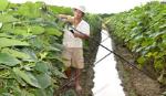 Mưa trái mùa diện rộng là do hội tụ dải thấp xích đạo