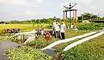 Mực nước vùng ngọt hóa đang ở mức cao nhất so cùng kỳ