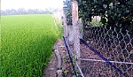 Lập chủ quyền trên  đường nước công cộng