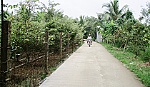 Huyện Cai Lậy làm đẹp thêm hình ảnh 