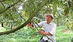 Gặp gỡ 2 nông dân sản xuất - kinh doanh giỏi ở huyện Cai Lậy