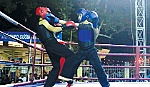 Sôi động Giải Vô địch Võ cổ truyền tỉnh năm 2017