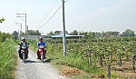 Học tập và làm theo Bác, xây dựng Đảng trong sạch, vững mạnh