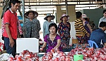 Chị Nguyễn Thị Thủy: Vượt khó vươn lên làm giàu