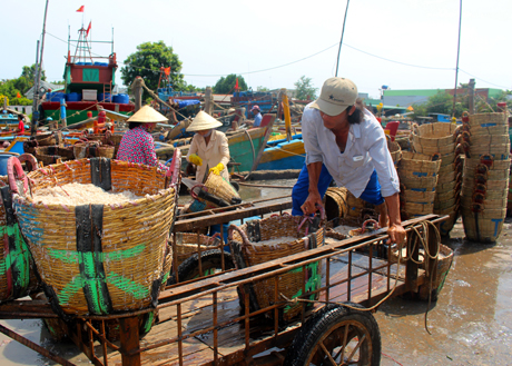 Ruốc tươi sau khi được phơi khô sẽ được bỏ mối tại chợ Bình Điền (TP. Hồ Chí Minh) với giá 60.000/kg loại ruốc trắng, 35.000/kg đối với loại ruốc nhuộm màu.