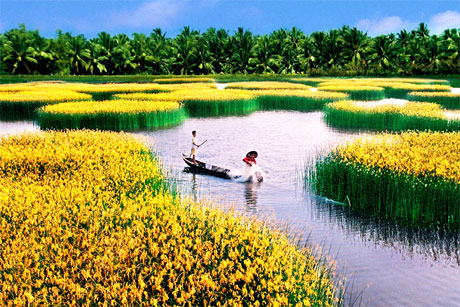 Đồng bằng sông Cửu Long là một bộ phận của châu thổ sông Mê Kông có diện tích 39.734 km2. Ảnh: Nguyễn Thanh Dũng