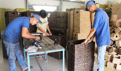 Kinh tế tập thể của tỉnh vẫn còn gặp một số hạn chế.
