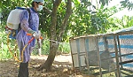 Tập trung toàn lực cho công tác phòng, chống cúm gia cầm