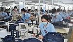 Nghị quyết 06-NQ/TU và bài toán phát triển doanh nghiệp