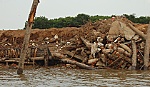 Cù lao Tân Phong: 