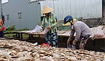 Phát triển làng nghề và vấn đề môi trường.