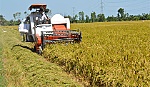 Điều chỉnh quy hoạch sử dụng đất tỉnh Tiền Giang