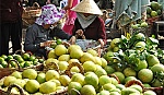 280 tỷ đồng đầu tư xây dựng công viên trái cây.