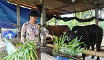 Tín dụng chính sách thay đổi cuộc sống hộ nghèo