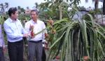 Thẩm định Đề án phát triển cây thanh long đến năm 2025