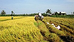Xã Long Bình: Phát huy truyền thống Anh hùng