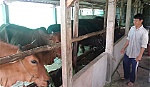 Khi Hội là 