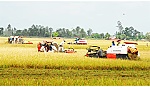 Nông nghiệp: Tổ chức lại theo hướng bền vững