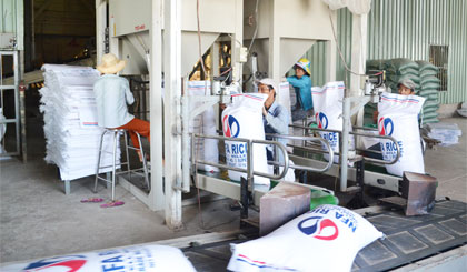 Thị trường gạo của Việt Nam còn nhiều yếu tố rủi ro.