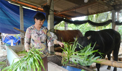 Nguồn vốn tín dụng chính sách đã góp phần thay đổi đáng kể đời sống người dân.