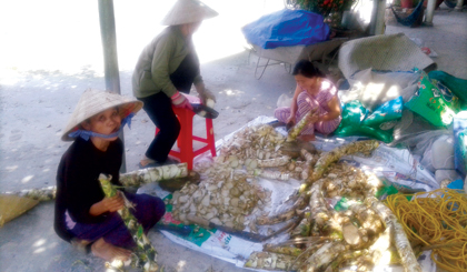 Bà con tự nguyện đến phụ việc tại Phòng thuốc Nam từ thiện xã Tam Bình.