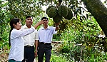 Xã Long Tiên dồn sức xây dựng nông thôn mới