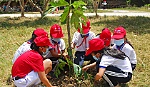 Xây dựng khả năng ứng phó thiên tai trong cộng đồng ven biển