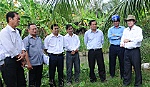Để Tiền Giang ngày một thân thiện, hấp dẫn