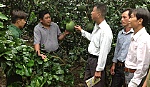 Thoát nghèo từ ý chí, nghị lực của người lính