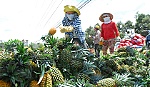Giá khóm tăng hơn 1.000 đồng/kg