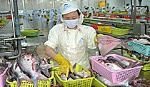 Xuất khẩu thủy sản: Cơ hội và những rủi ro tiềm ẩn