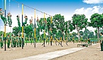 Những ngày đầu trong quân ngũ