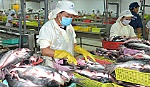 Bài 2: Hiệu quả từ các chính sách?