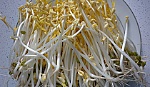 Cách nhận biết 5 loại rau hay bị phun hóa chất
