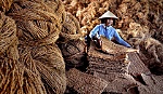 Tác phẩm 