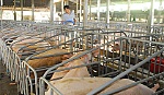 Bài 3: 