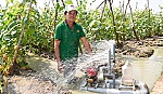 Sáng chế thiết bị tưới rau màu tiện dụng