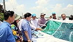 Phó Thủ tướng họp bàn giải pháp phòng chống sạt lở vùng ĐBSCL