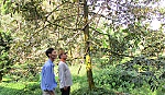 Cựu chiến binh làm kinh tế giỏi, nhiệt tình công tác Hội