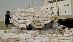 Việt Nam sẽ cung cấp cho Bangladesh 1 triệu tấn gạo mỗi năm