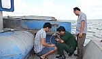 Tạm giữ phương tiện chở 1.000 tấn than đá không chứng từ