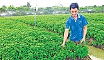 Lan tỏa phong trào nông dân sản xuất - kinh doanh giỏi