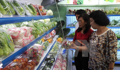 Người dân lựa chọn thực phẩm ở một cửa hàng thực phẩm sạch. (Nguồn: TTXVN)